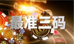 中国澳门正版传实V